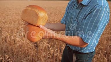 <strong>老农</strong>夫面包师拿着一个金色的面包和面包在麦田对抗蓝天的生活方式。 慢速视频